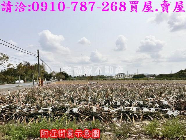 山上農地-10
