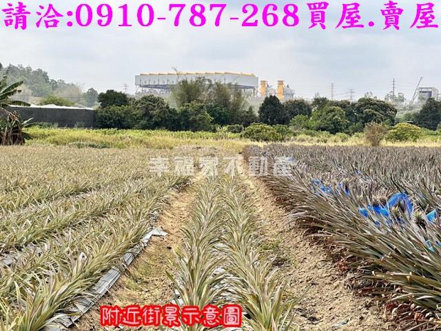 山上農地-5