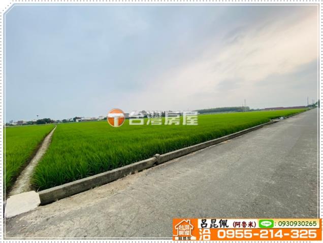 大林農地-2