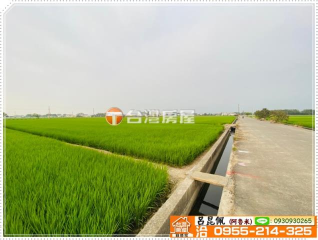 大林農地-5