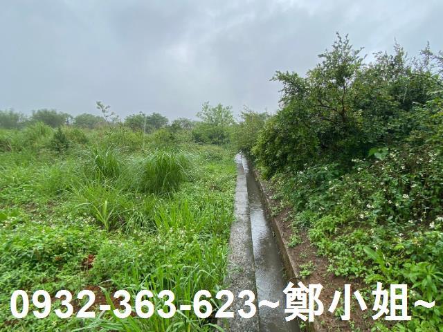 平鎮金陵路東金段農地