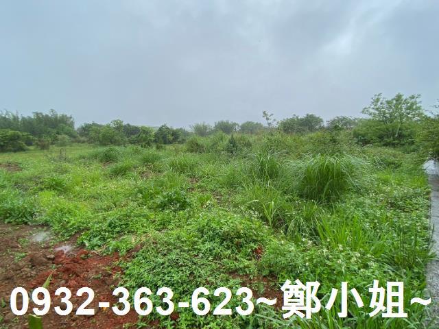 平鎮農地-1