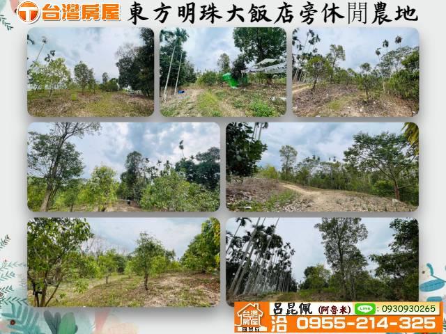 中埔農地-0