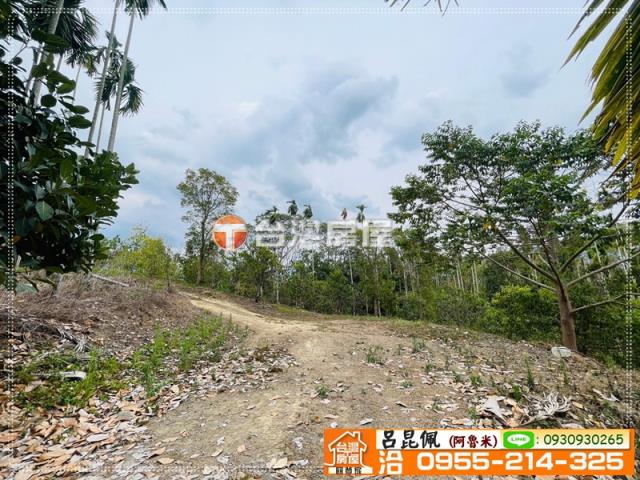 中埔農地-2