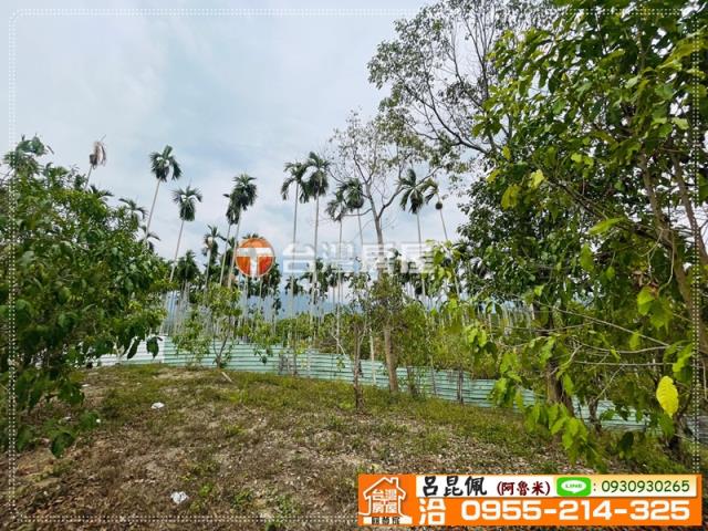 中埔農地-6