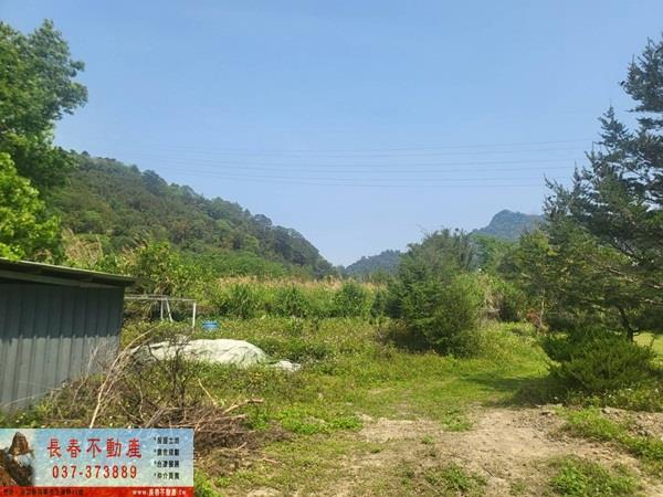 苗栗農地-1