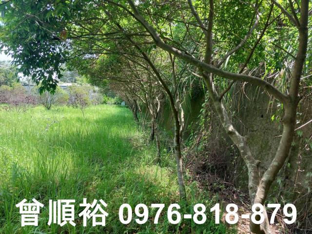 新竹農地-2