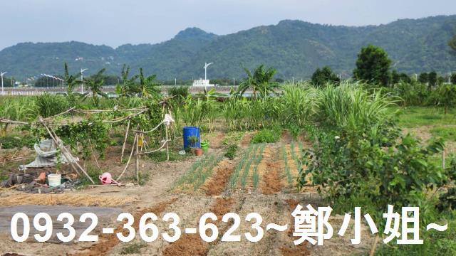 大溪農地-1