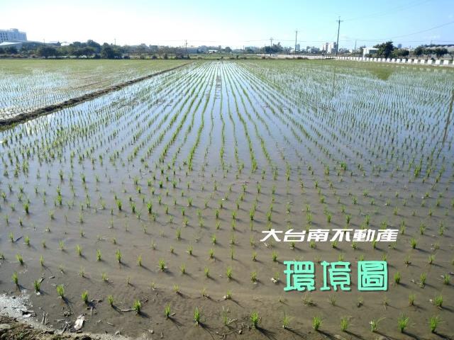 台南善化農地-4