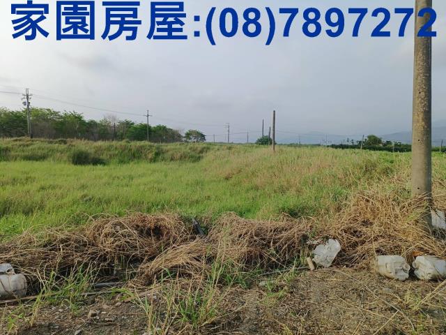 新埤農地-0