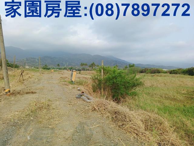 新埤農地-2