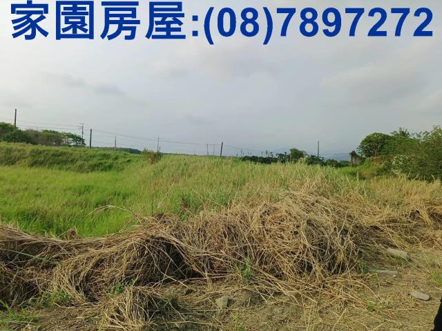 新埤農地-6