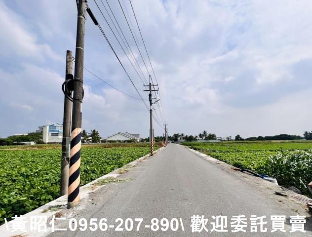 安南農地-0