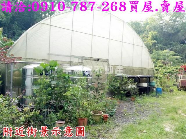 台南林地-9