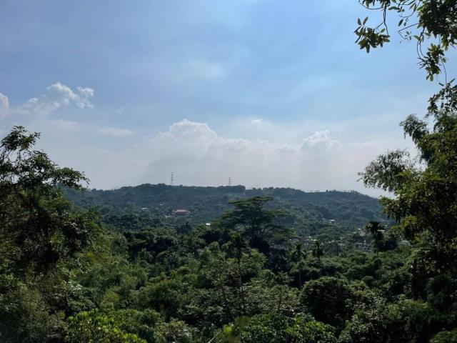 嘉義梅山農地-12