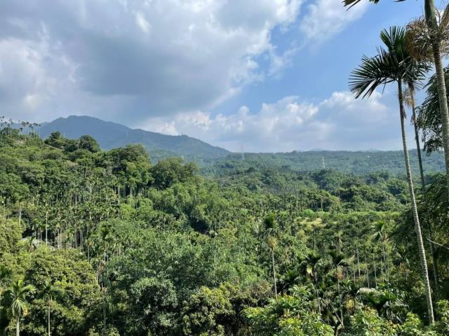 嘉義梅山農地-5