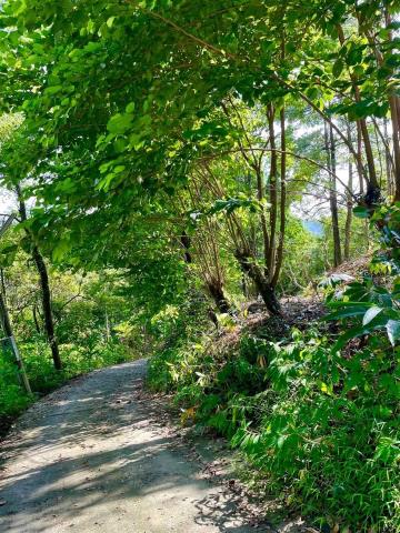 嘉義梅山農地-8