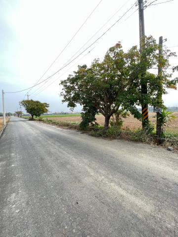 民雄農地-3