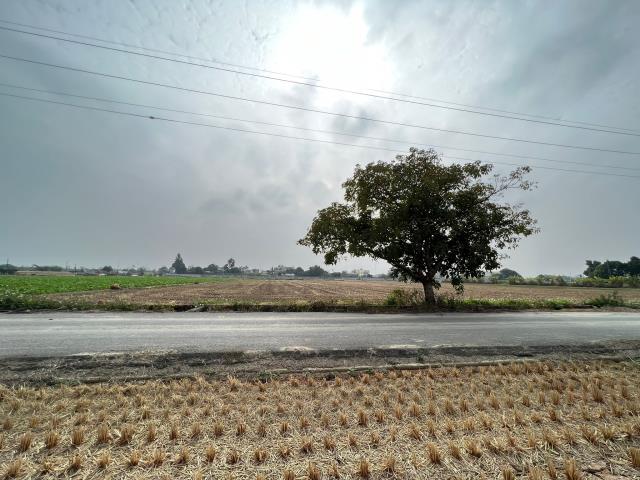 民雄農地-6
