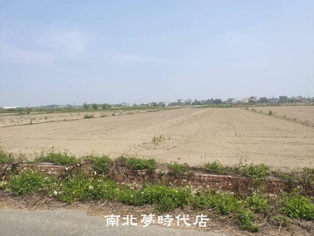 台南農地-4