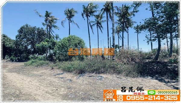 中埔農地-9