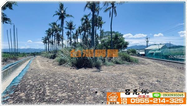 中埔農地-0