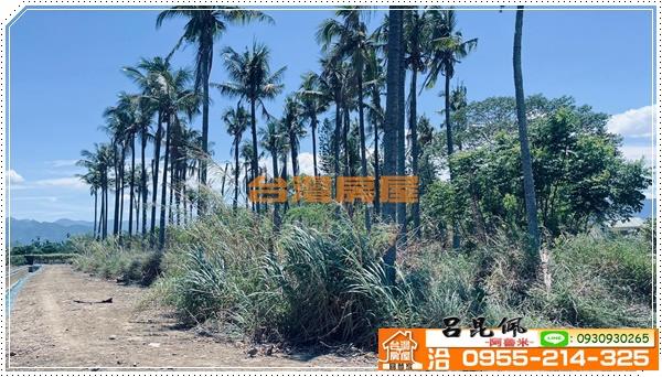 中埔農地-1