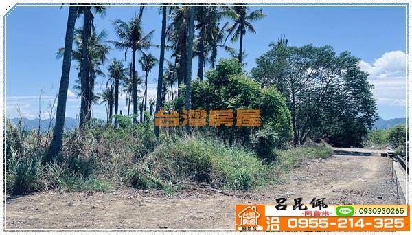 中埔農地-2