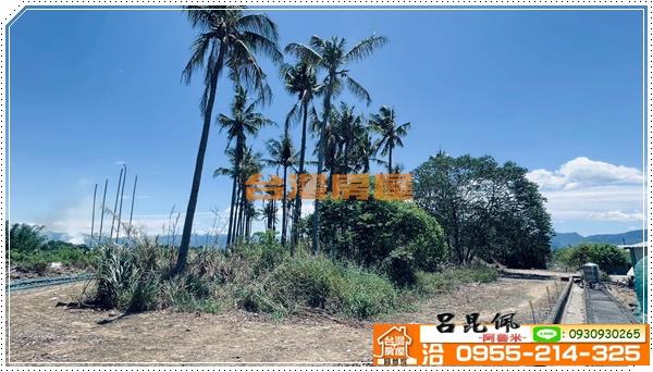 中埔農地-3
