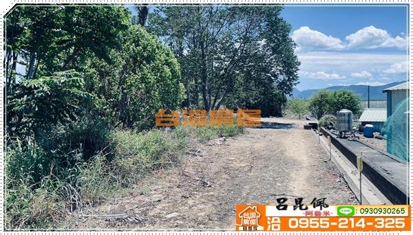 中埔農地-4