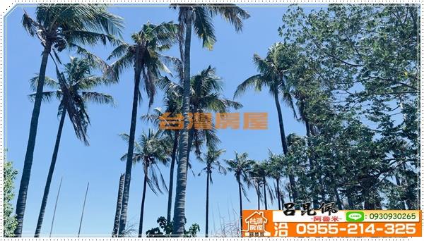 中埔農地-6