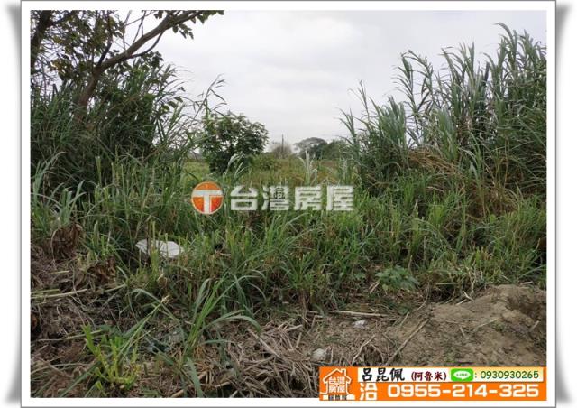 嘉義農地-4