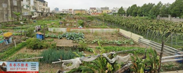 苗栗市農地-0
