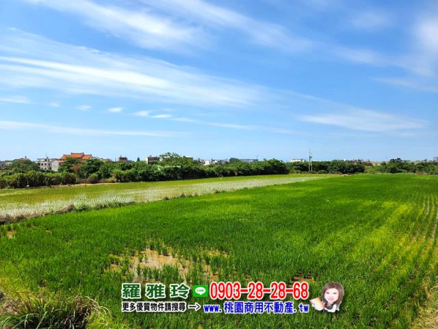 觀音農地-12