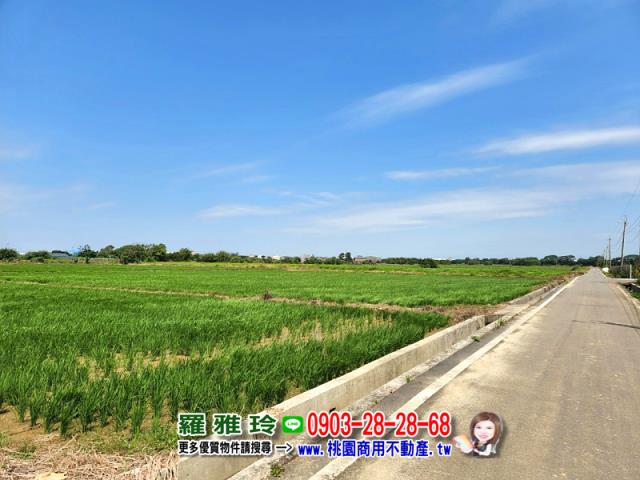 觀音農地-6