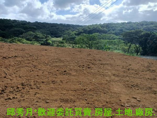 新北淡水農地-9
