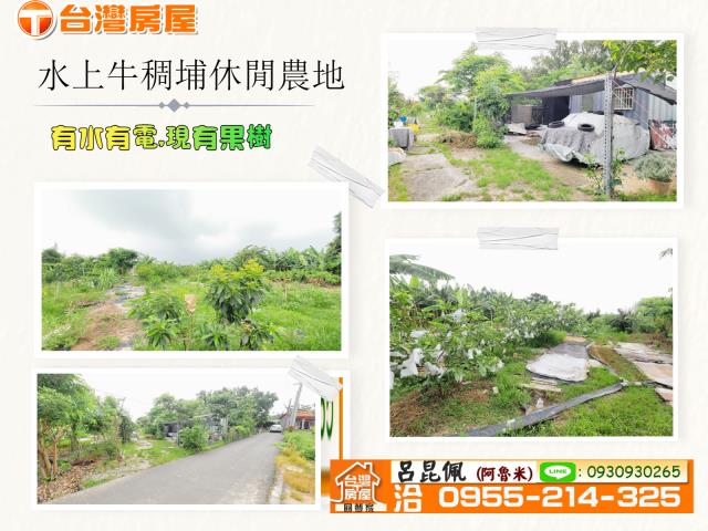 嘉義水上農地-0