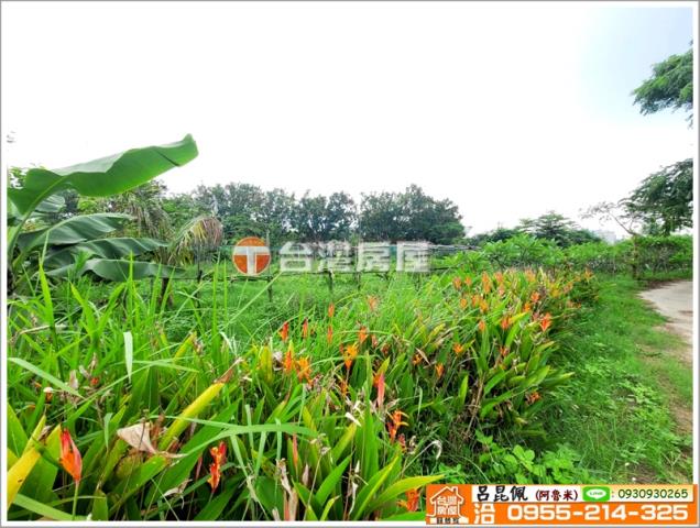 嘉義水上農地-5