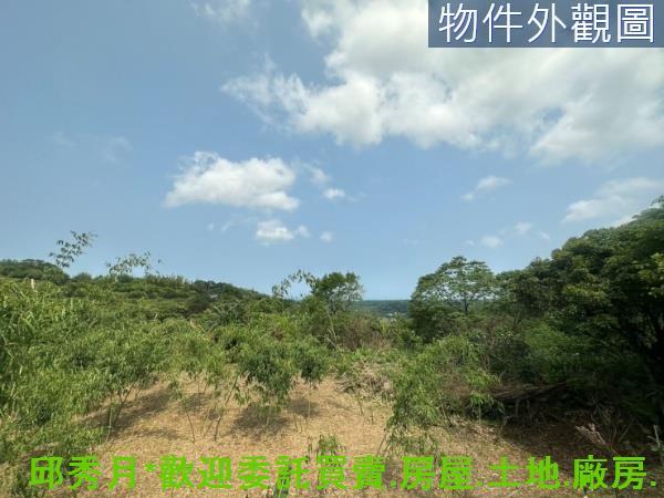 新北淡水農地-4