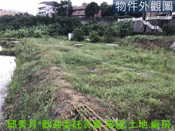 新北淡水農地-4