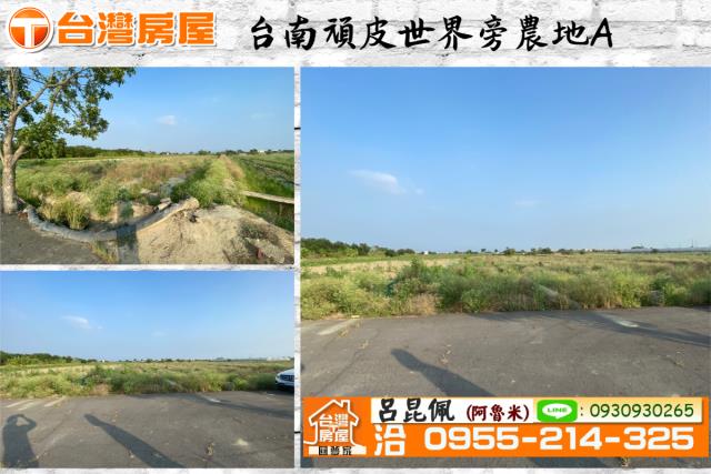 鹽水農地-0