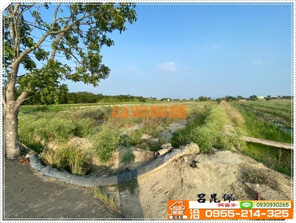鹽水農地-2