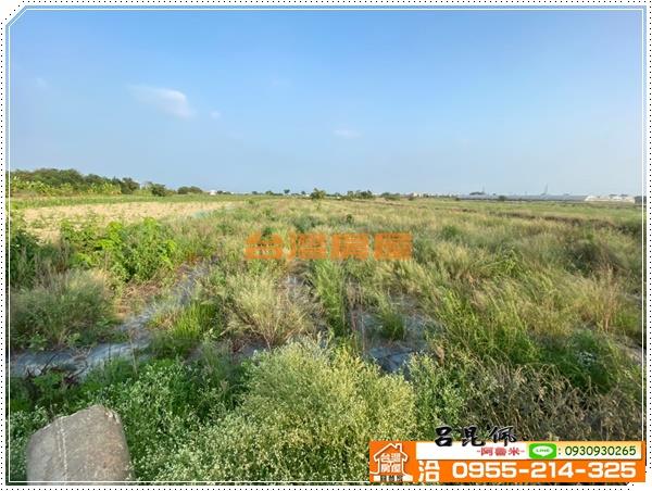 鹽水農地-4
