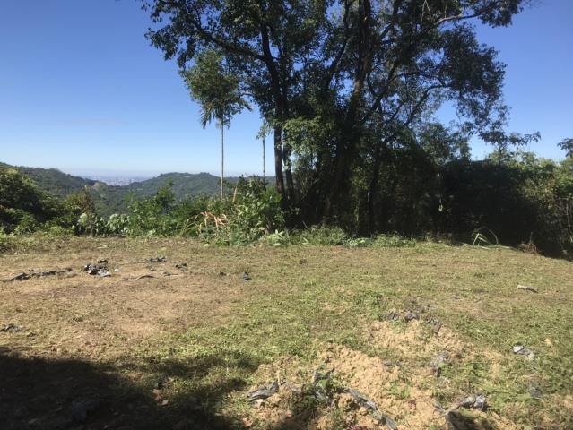 台中太平山坡地-11