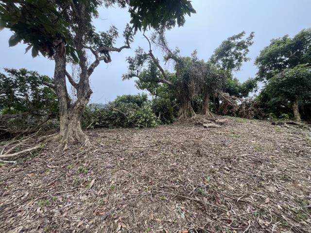 台中太平山坡地-6