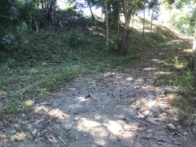 台中太平山坡地-8