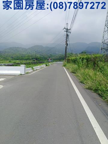 新埤農地-2