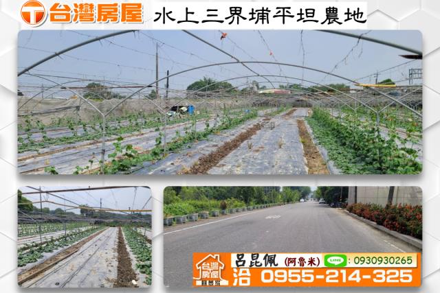 嘉義農地-0