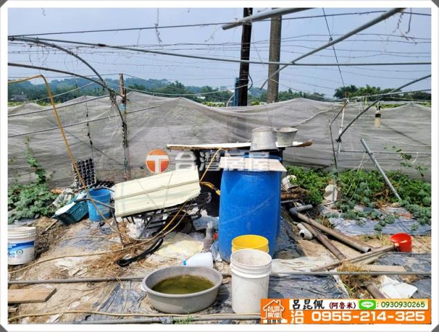 嘉義農地-7
