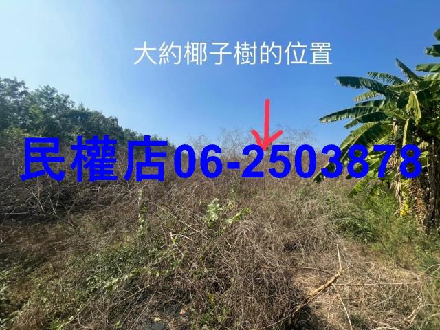 台南農地-0